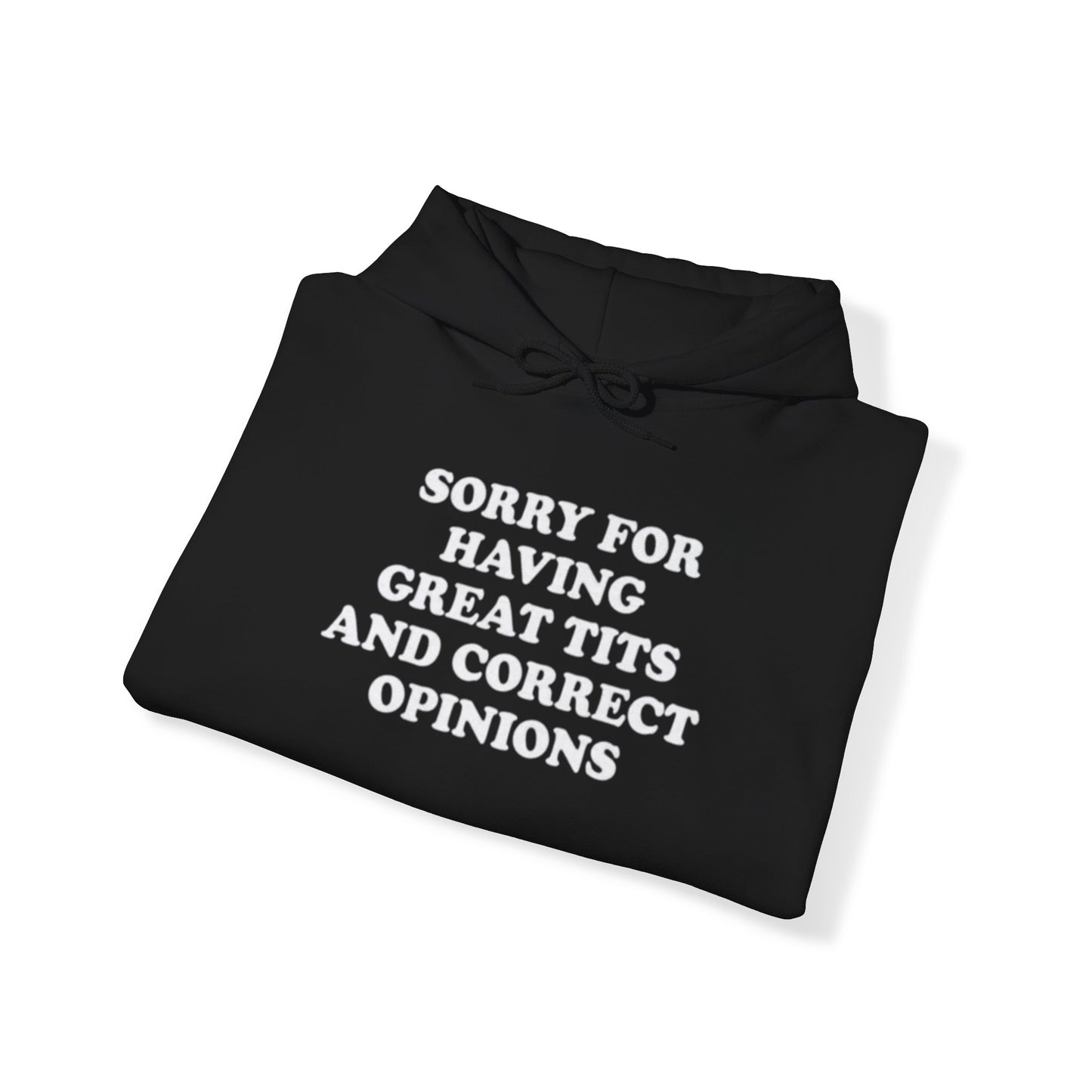 SORRY FOR HAVING GREAT BITS AND CORRECT OPINIONS HOODIE