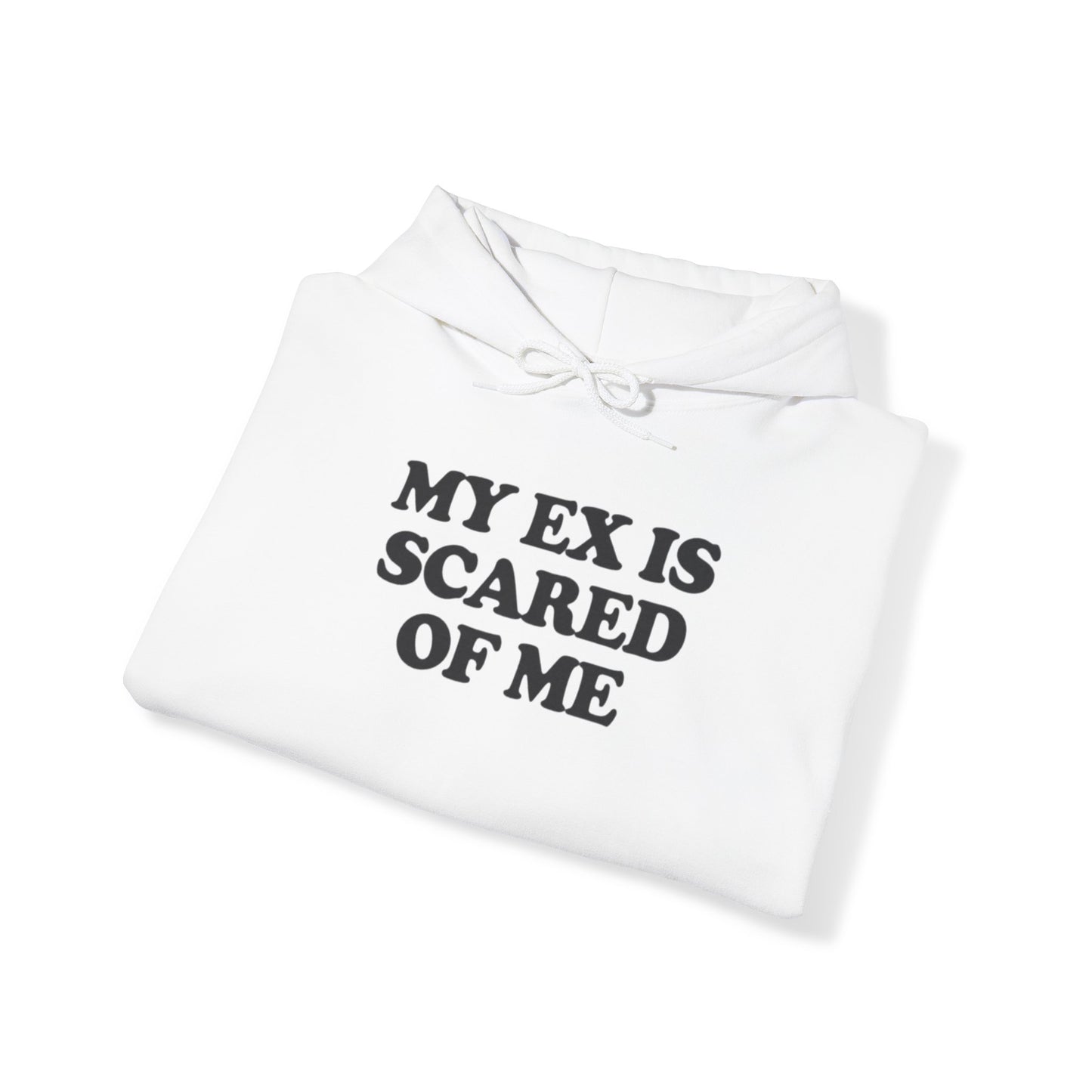 MY EX IS SCARED OF ME HOODIE