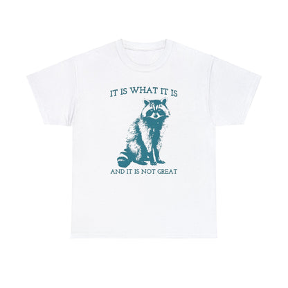 It Is What It Is And It Is Not Great, Vintage Drawing T Shirt, Raccoon Meme Shirt, Sarcastic Shirt, Mental Health Shirt, Trash Panda Shirt