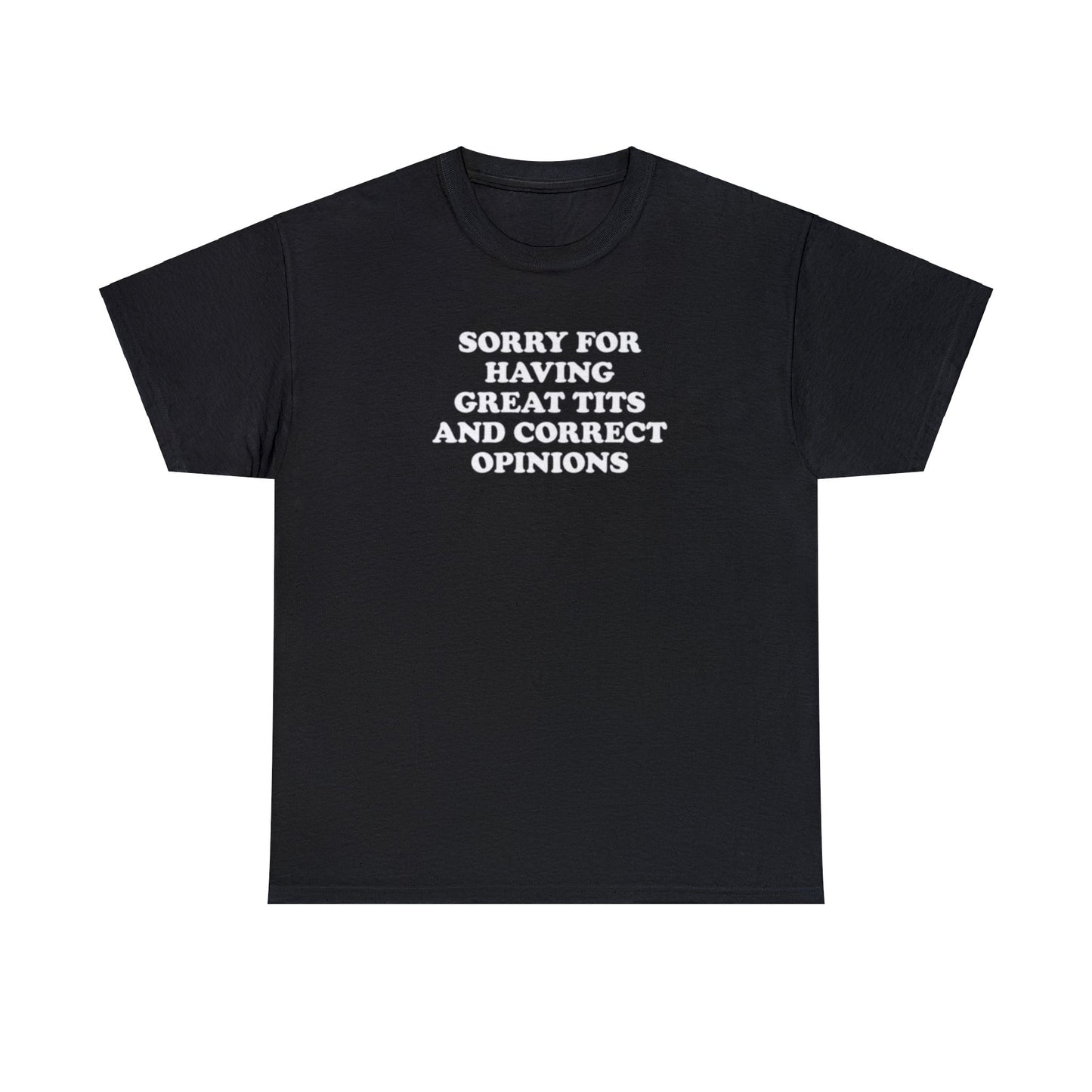 SORRY FOR HAVING GREAT TITS AND CORRECT OPINIONS T-SHIRT