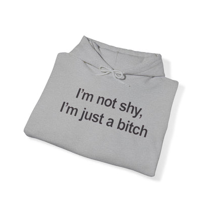 IM NOT SHY IM JUST A ITCH HOODIE