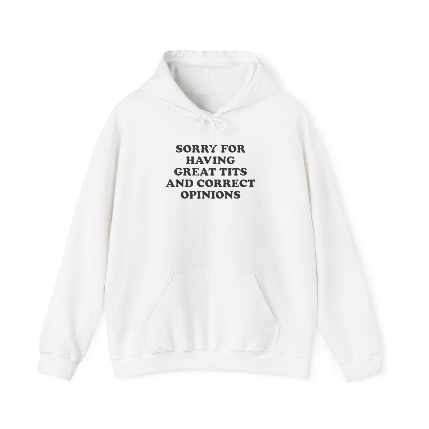 SORRY FOR HAVING GREAT BITS AND CORRECT OPINIONS HOODIE