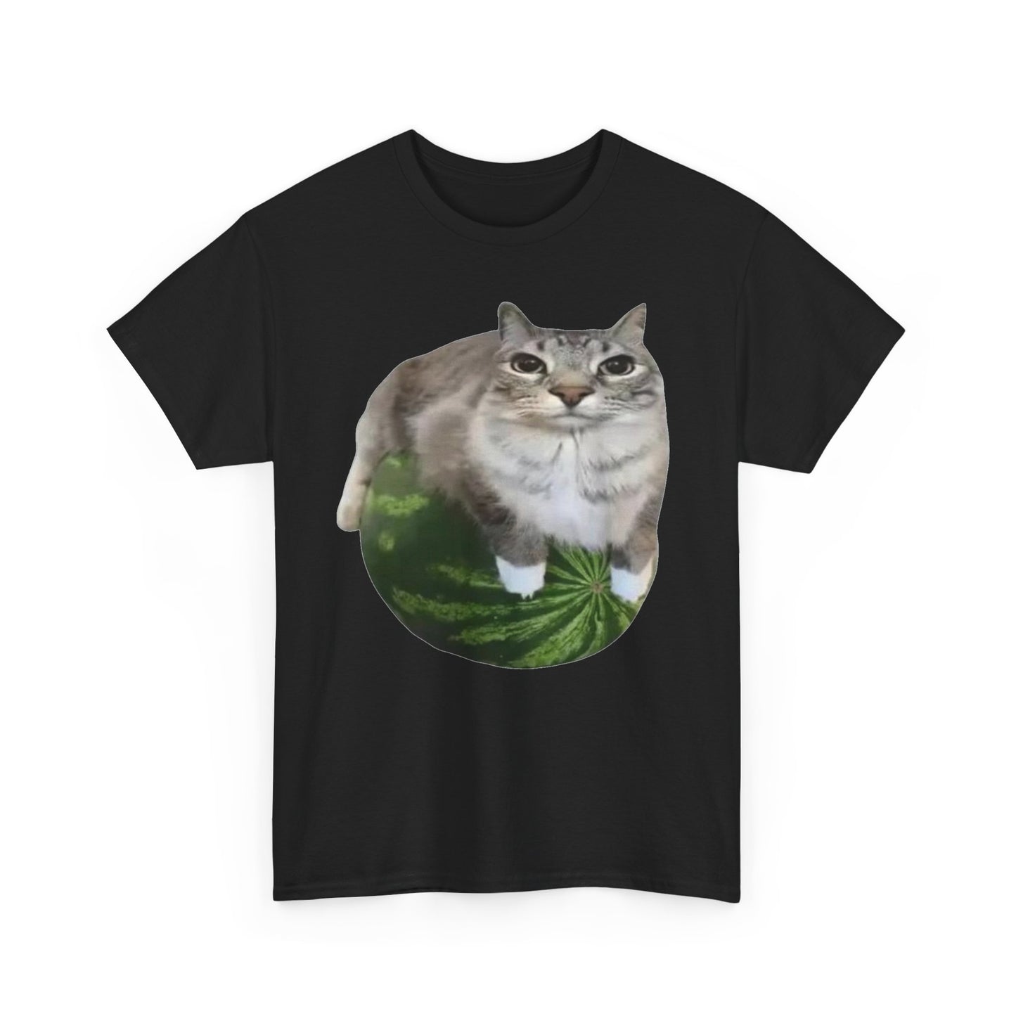Watermelon Cat Funny Shirt