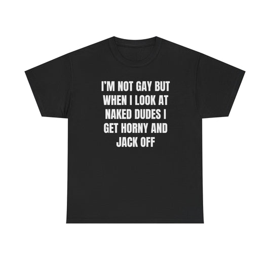 Im Not Gay But When I Look At Naked Dudes Funny Shirt