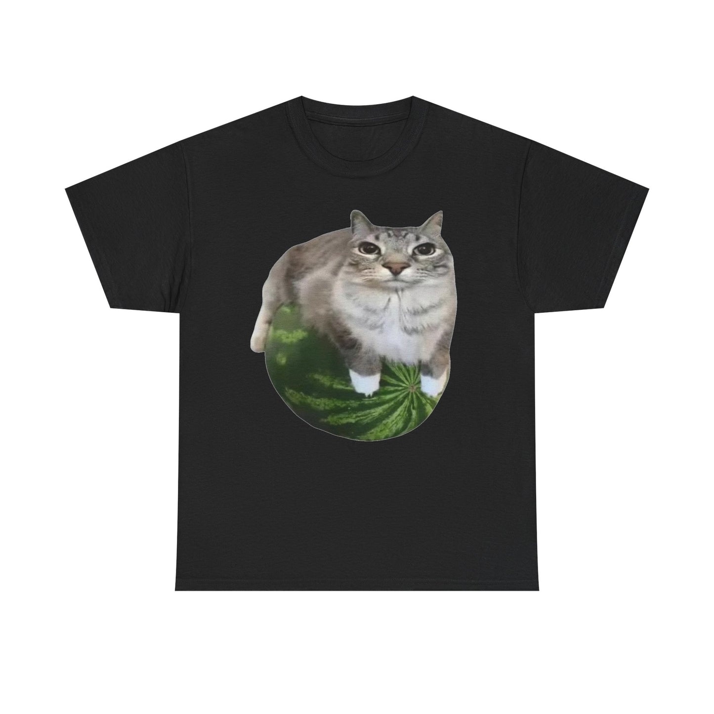 Watermelon Cat Funny Shirt