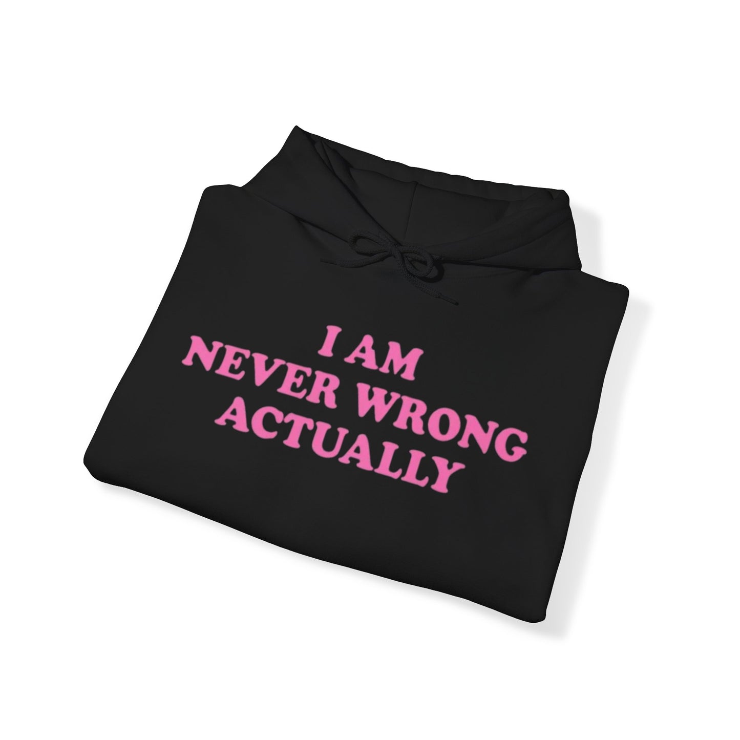 I AM NEVER WRONG ACTUALLY HOODIE