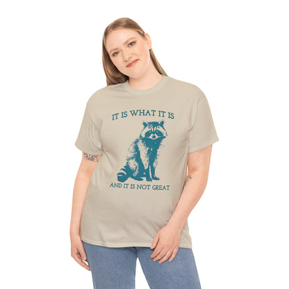 It Is What It Is And It Is Not Great, Vintage Drawing T Shirt, Raccoon Meme Shirt, Sarcastic Shirt, Mental Health Shirt, Trash Panda Shirt