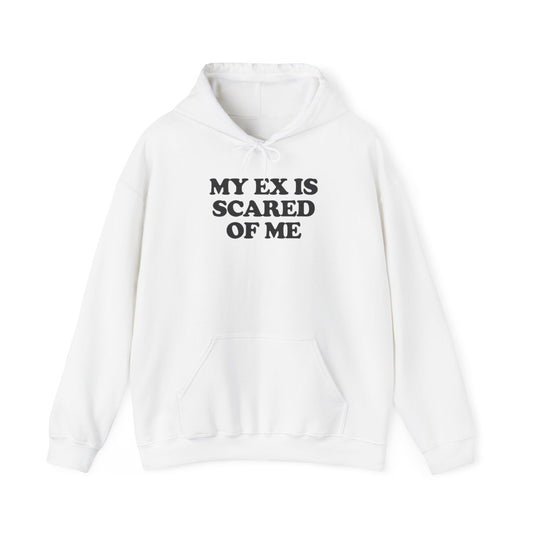 MY EX IS SCARED OF ME HOODIE