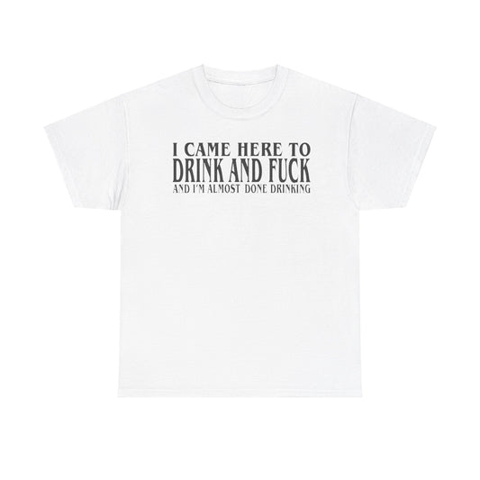 I Came Here To Drink And Fuck And Im Almost Done Drinking Shirt