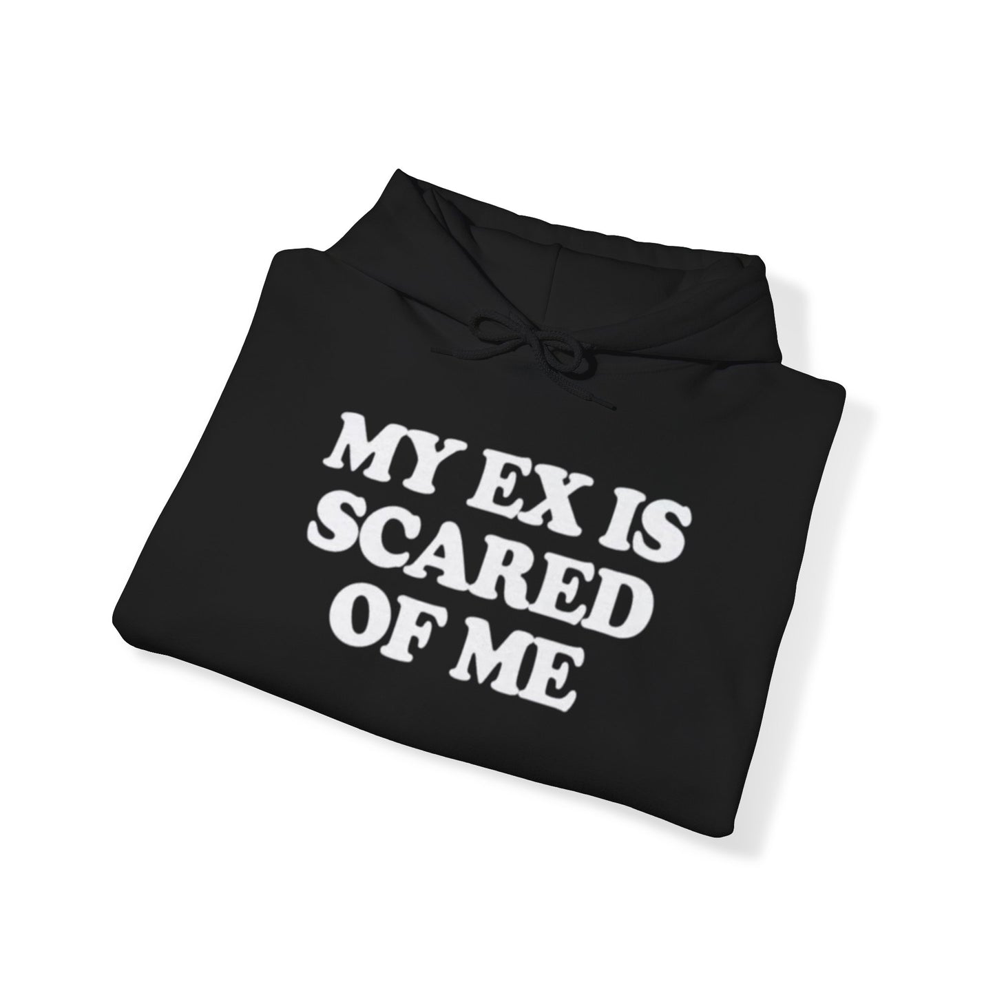 MY EX IS SCARED OF ME HOODIE