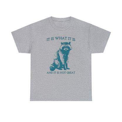 It Is What It Is And It Is Not Great, Vintage Drawing T Shirt, Raccoon Meme Shirt, Sarcastic Shirt, Mental Health Shirt, Trash Panda Shirt