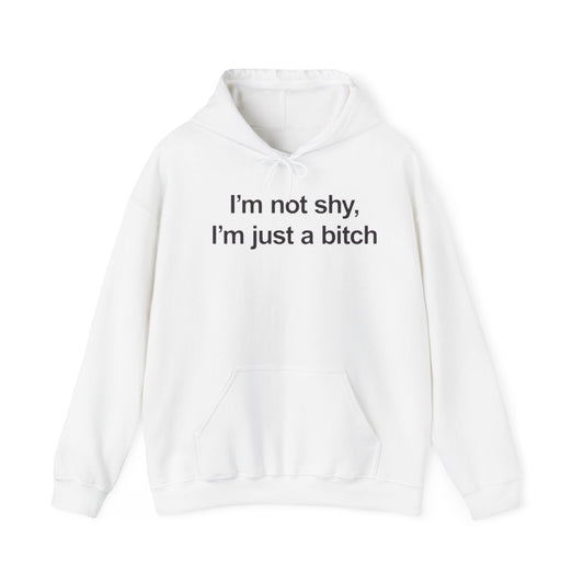 IM NOT SHY IM JUST A ITCH HOODIE