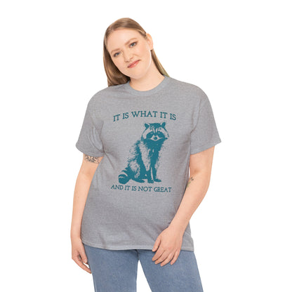 It Is What It Is And It Is Not Great, Vintage Drawing T Shirt, Raccoon Meme Shirt, Sarcastic Shirt, Mental Health Shirt, Trash Panda Shirt