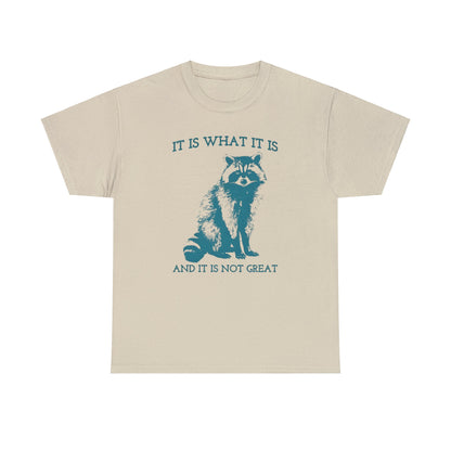 It Is What It Is And It Is Not Great, Vintage Drawing T Shirt, Raccoon Meme Shirt, Sarcastic Shirt, Mental Health Shirt, Trash Panda Shirt