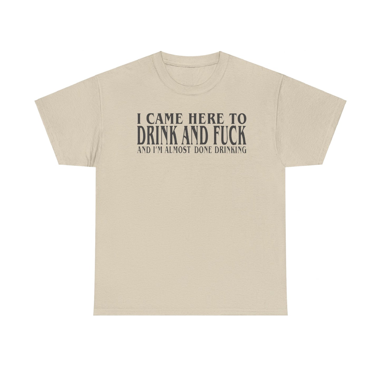 I Came Here To Drink And Fuck And Im Almost Done Drinking Shirt